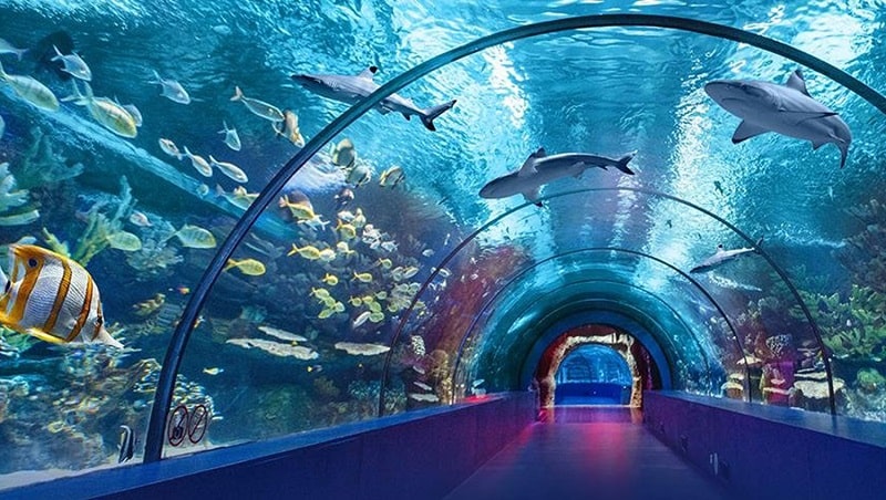Antalya Aquarium